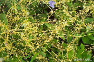 分享两个不体面但利润吓人的生意,无本赚钱的项目