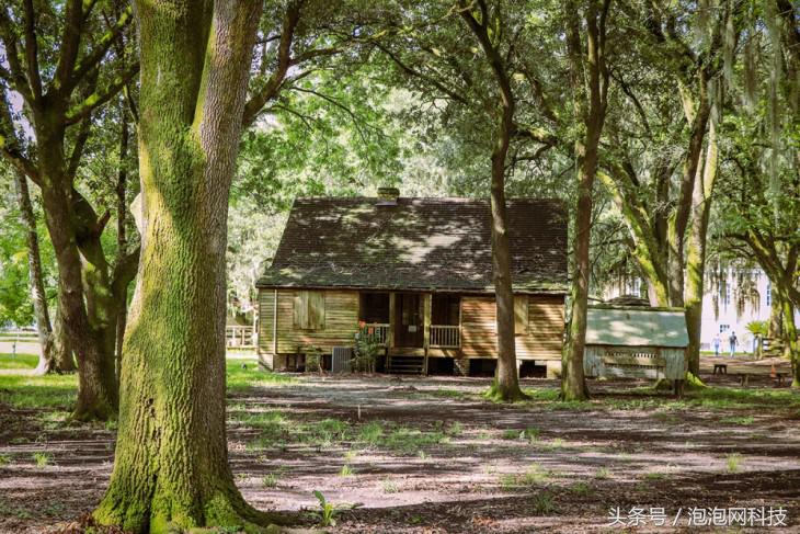 我在美国吃麻小佳能EOS路易斯安那随拍