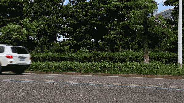 suv保养需要换什么机油,suv加哪家油