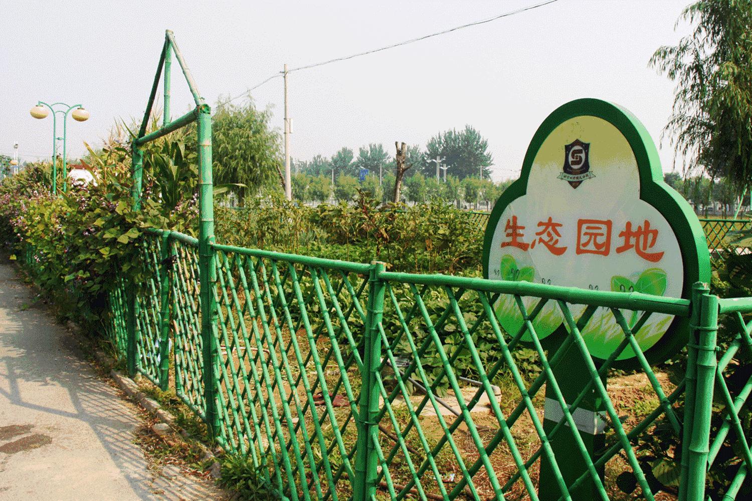 北京市第四中学顺义分校高中,好消息北京