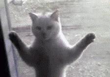 姑娘玩足球视频,妹子足球教学