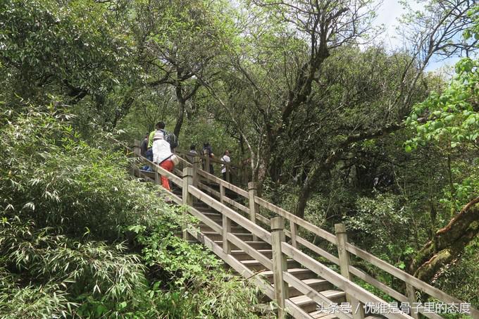 梵净山奇幻之旅,梵净山最美一日游