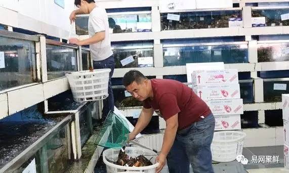 三伏天适合吃什么海鲜,三伏天能吃什么海鲜