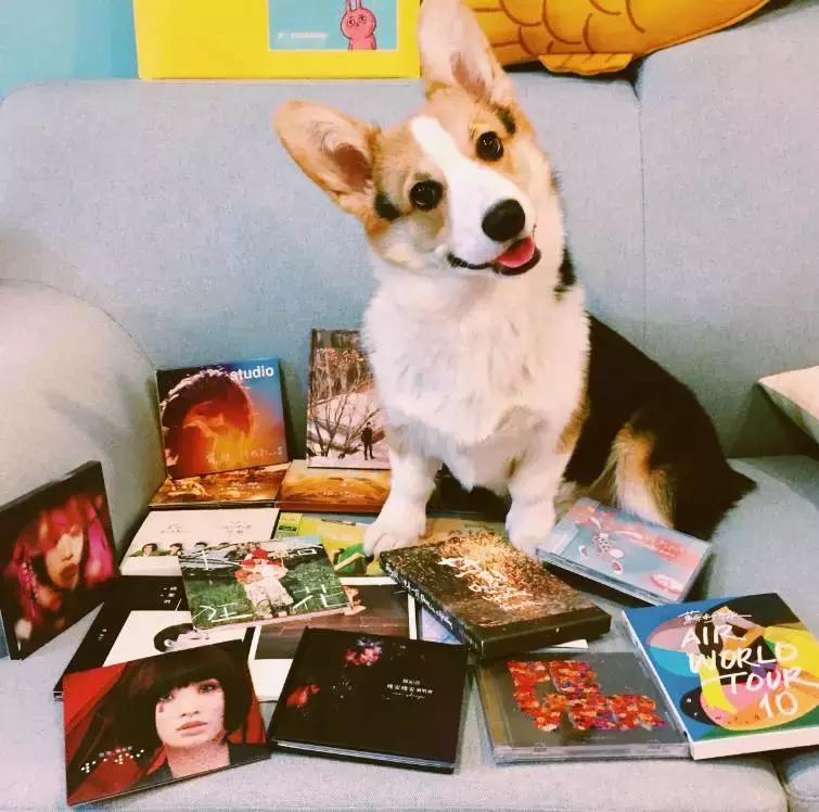 天津姑娘13W逆袭80㎡老房，有颜值又实用，客厅没窗户也能晒太阳！（内附装修干货）