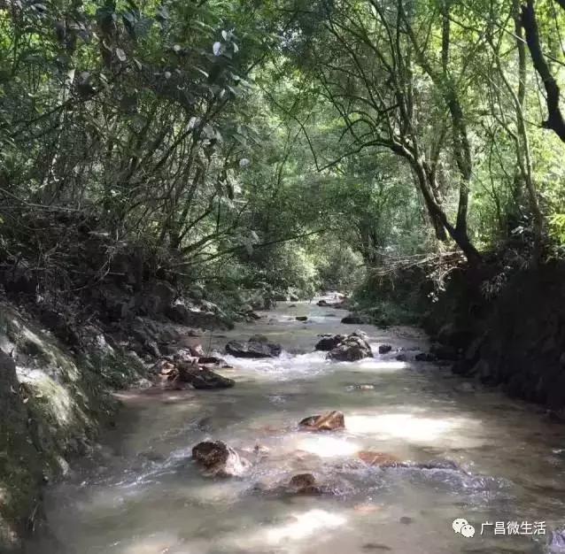 广昌最著名的景点,广昌避暑