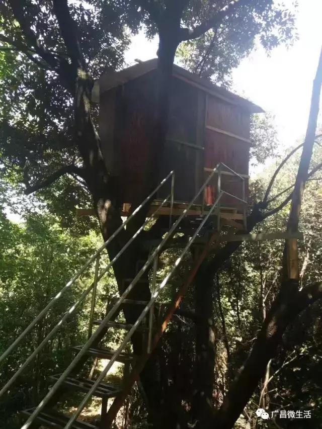 广昌最著名的景点,广昌避暑