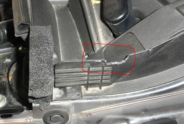 九只老鼠在车内筑窝，还藏了一堆的粮食，吓得车主连床单都用上了