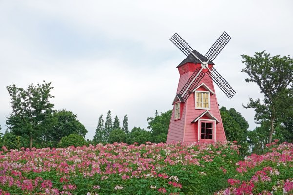 浙江嘉善大云旅游,嘉善大云周末玩的地方推荐