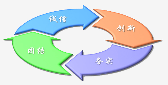 电子商务运营流程怎么操作,电子商务组织架构与运营管理