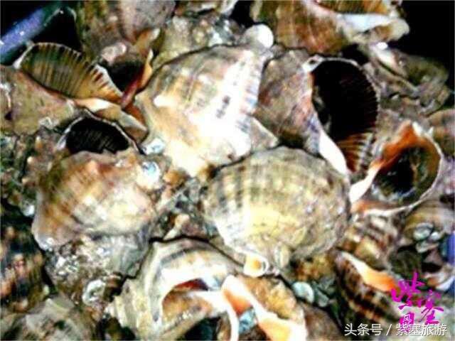 秦皇岛旅游住宿农家院,秦皇岛2日游攻略农家院