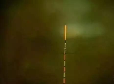 浮漂调钓大揭秘,钓鱼人不可错过的宝典!