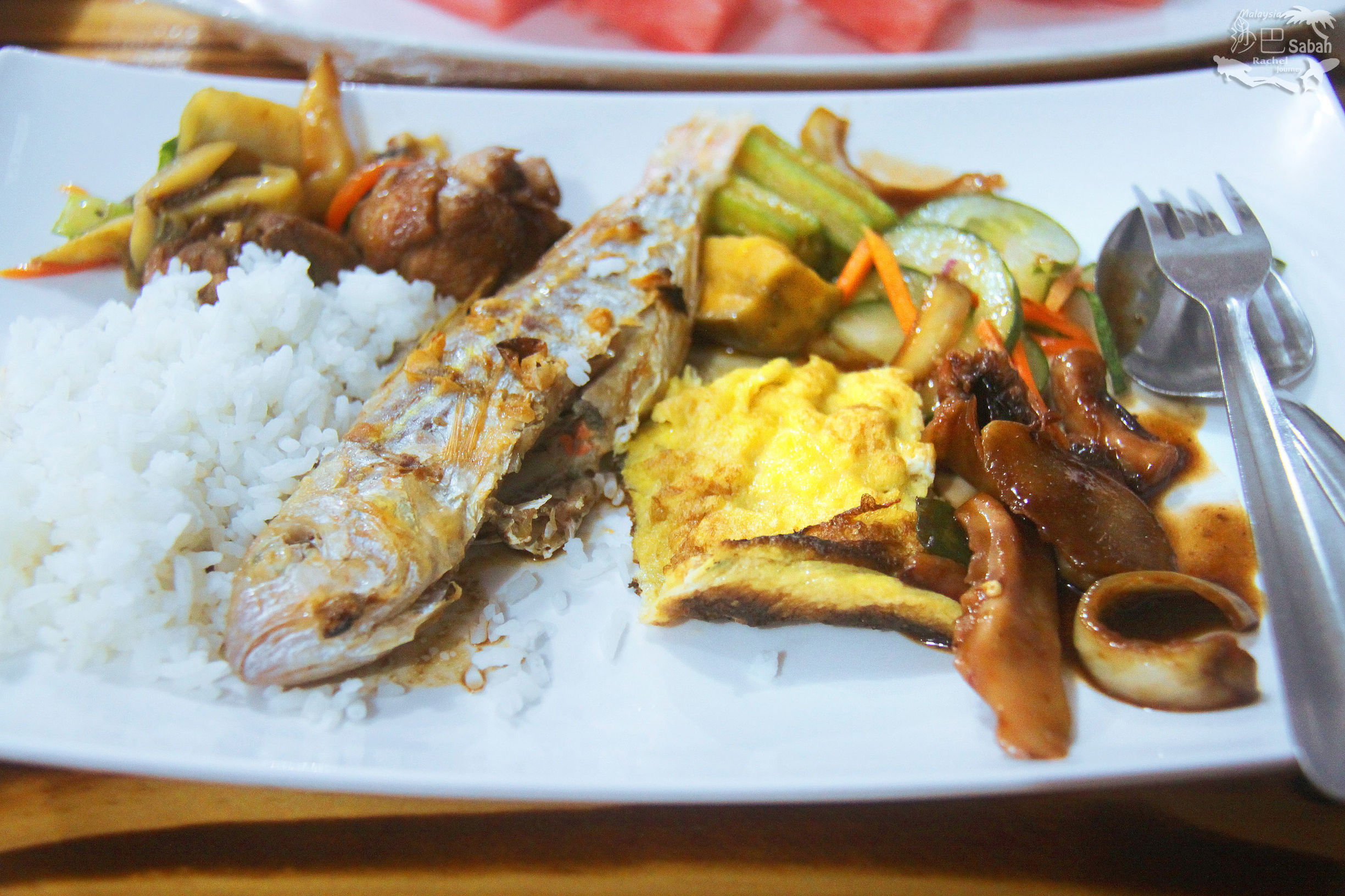 热带雨林是毒还是美威士顿红树林里有怎样的奥秘