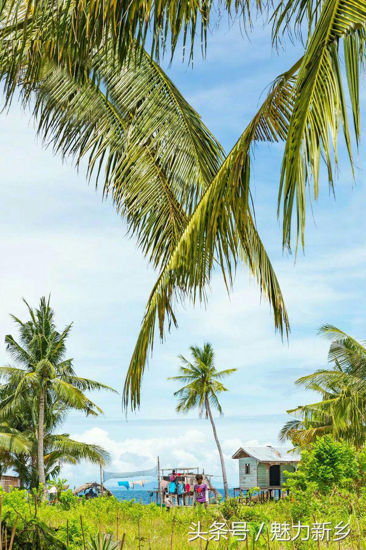 仙本那跳岛简介,仙本那跳岛图