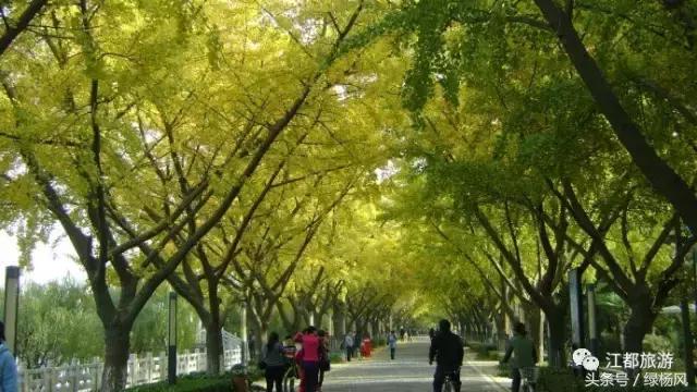 来扬州必买饰品,来扬州别错过的打卡地