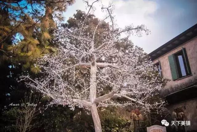 身边有很多人去日本旅游,去日本旅行的好地方