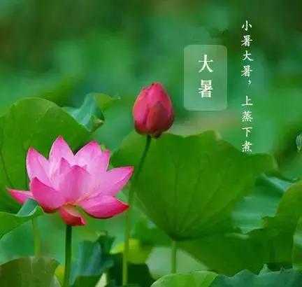 大暑温馨提醒你注意什么,大暑即将来临的视频