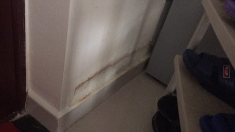 墙体发霉漏水起皮怎么办,墙体发霉返潮的原因