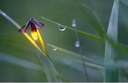 年赚100万的骗局,年赚千万的暴利生意真实案例