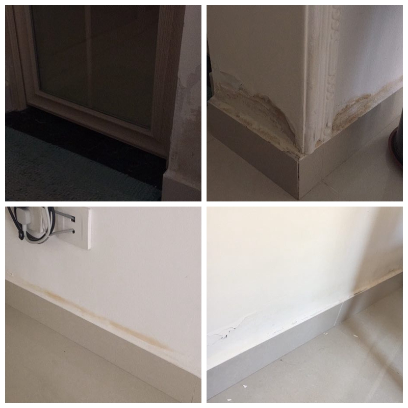 墙体发霉漏水起皮怎么办,墙体发霉返潮的原因