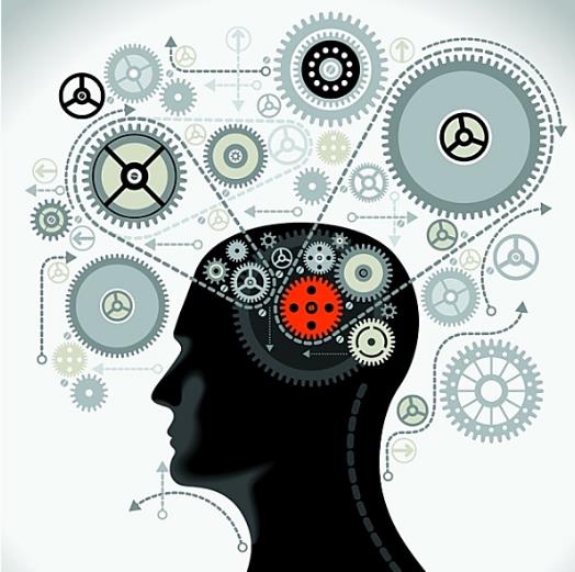 忘不了改善记忆力,忘不了脑营养真的管用吗