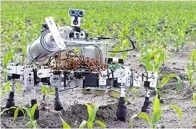 日本农业靠什么赚钱,日本农业经营模式