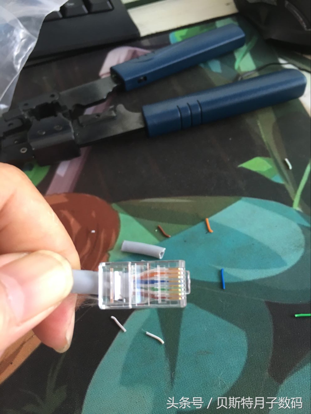 哎哟喂小编今天做网线