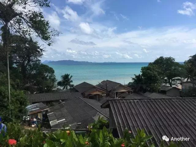 泰国甲米岛自由行攻略,去泰国哪个岛晚上嗨