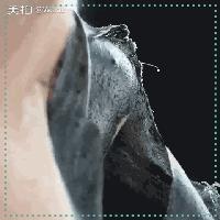 去黑头神器男士专用毛孔清洁器,新款去黑头美容仪毛孔清洁神器