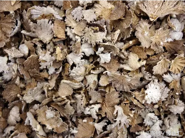 野生菌的食用与安全,野生菌安全吃法