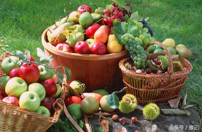 太土豪了！河南每个农家都有果园，各种水果应有尽有