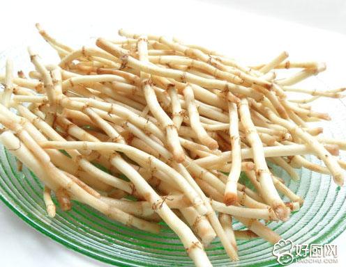 鱼腥草爱吃草,鱼腥草爱吃折耳根