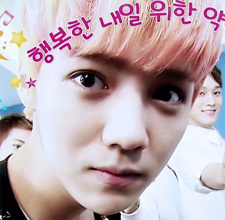 鹿晗2020年度全能人,鹿晗运动全能