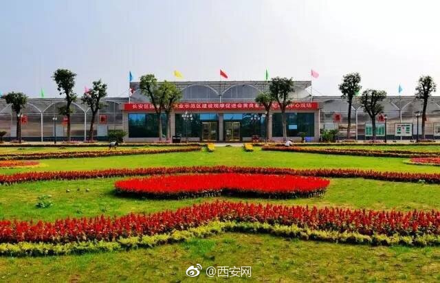 政府垫资入股贫困户享受收益｜长安产业脱贫6到飞起