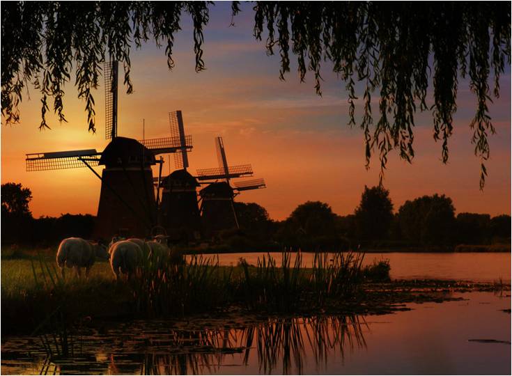 鍥介檯闈掑皯骞磋冻鐞冮個璇疯禌鍦嗘弧钀藉箷,闈掑皯骞磋冻鐞冮敠鏍囪禌鍦嗘弧钀藉箷