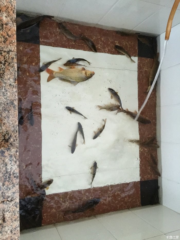 15尺武天k初试水