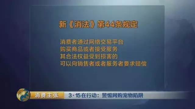 同城宠物买卖骗局套路,58收留宠物骗局是真的吗
