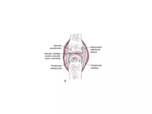 不会制作ppt别担心,初学者不会做ppt