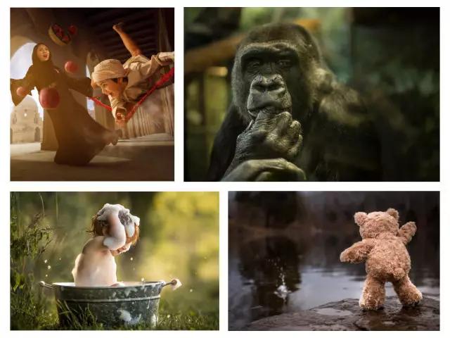 不会制作ppt别担心,初学者不会做ppt