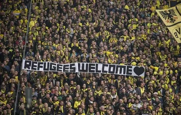 猛虎嗅蔷薇读后感,猛虎嗅蔷薇原文