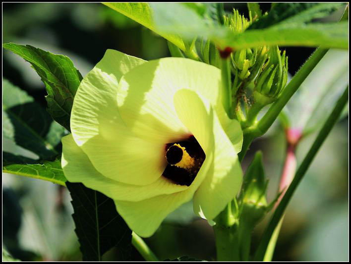 幸福女神节散发你的魅力,幸福女神节活动