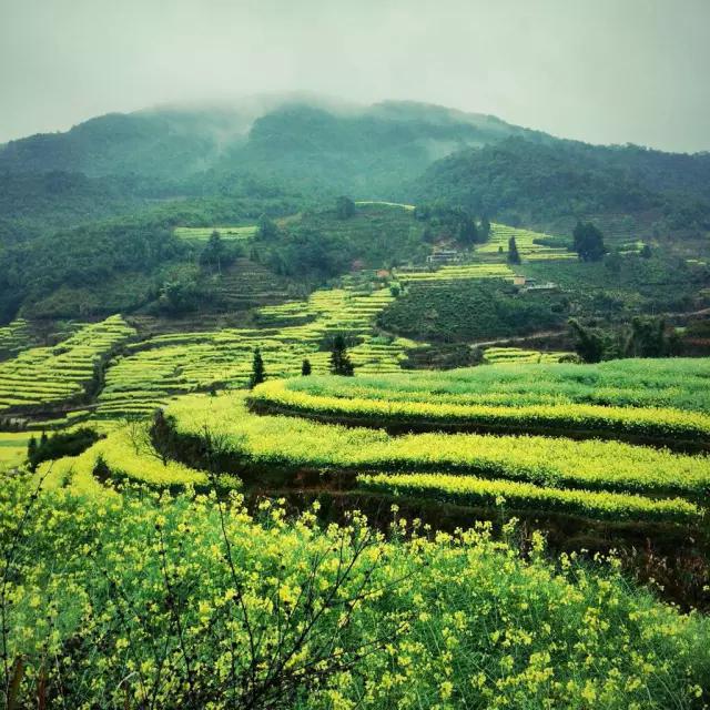 CMPA|2016年3月7日编辑推荐作品