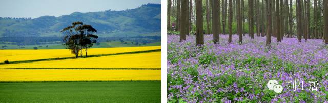 ppt技巧揭秘这些功能您会使用了吗,ppt附加文件