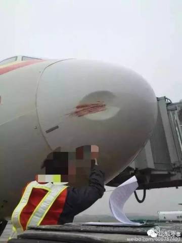 飞机：你赔我鼻子！鸟：妈的智障