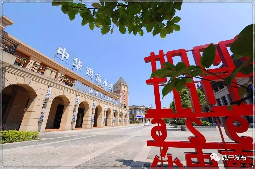 「聚焦」“一带一路”上升起一颗璀灿新星！咸宁的这个小镇将来不得了！