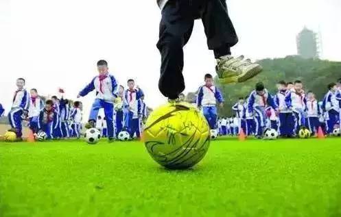 锦城街道新闻最新,锦城最近有什么新闻