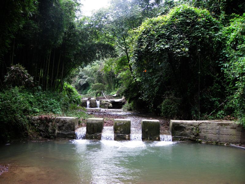 四川竹海旅游推荐,蜀南竹海清凉一夏