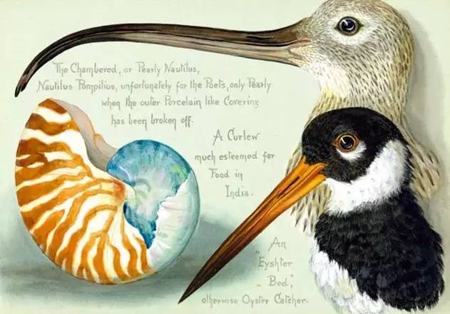 经典的书籍推荐100本好理解的书,北大公认100本好书