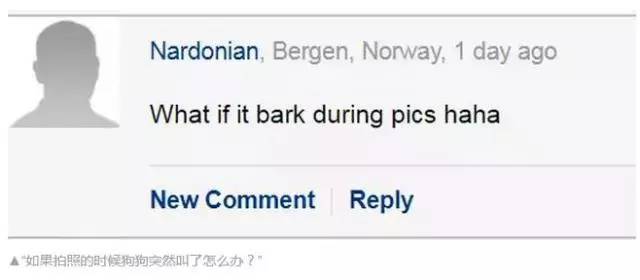 不能笑！因为国宝看了这条新闻能气死