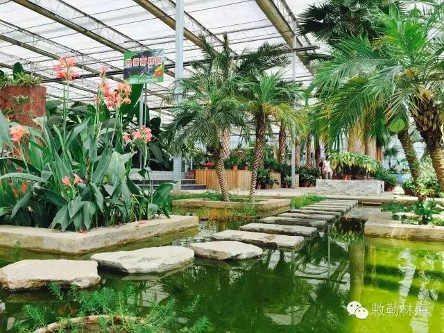 呼和浩特纳凉好地方,呼和浩特周边避暑胜地