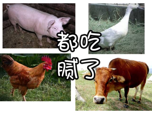 弥勒神仙店,弥勒本地人推荐的餐馆